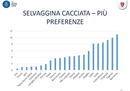 Fiocchi tabella 21